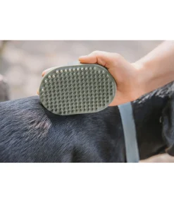 sugar dog Brosse pour chien Zeyna olive antique