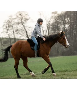 KNIGHTSBRIDGE Casque d'équitation Accent brun Best