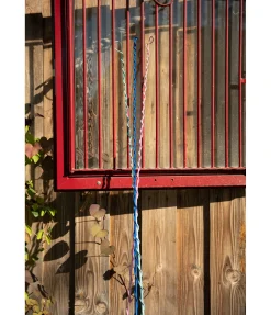 SHOWMASTER Chambrière cobalt New