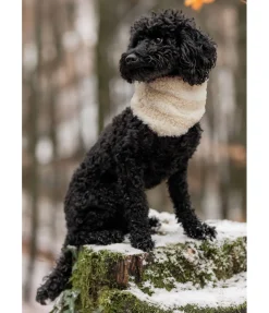 sugar dog Écharpe pour chien en sherpa Junie milkshake Best