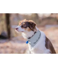 STEEDS Écharpe réfléchissante pour chien argenté