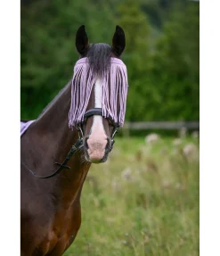 SHOWMASTER Chasse-mouches à prix économique violet New