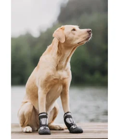 sugar dog Chaussons pour chien Dubai noir Outlet