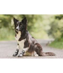 sugar dog Chaussons pour chien Dubai noir Outlet