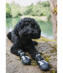 sugar dog Chaussons pour chien Dubai noir Outlet