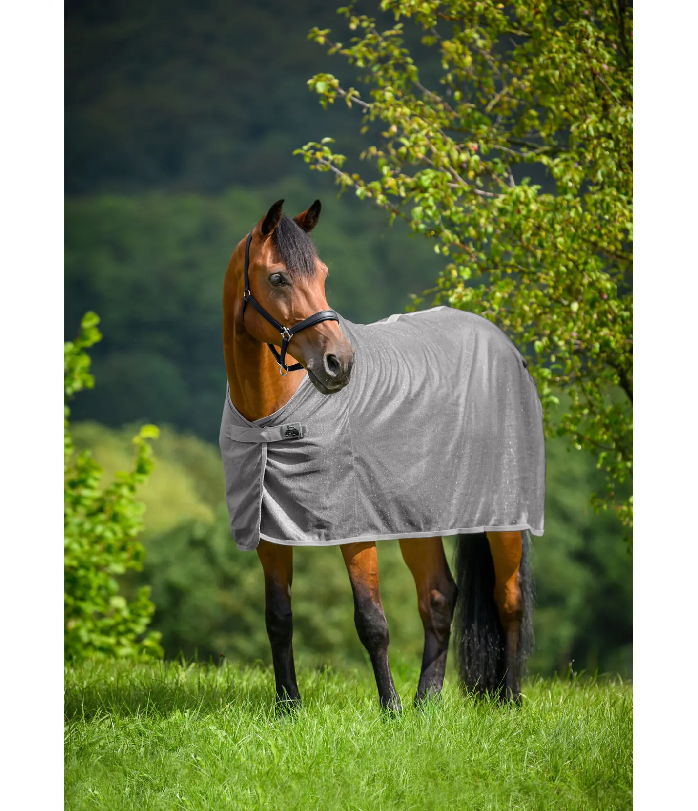 THERMO MASTER Chemise anti-mouches Crystal Fly brume Sale