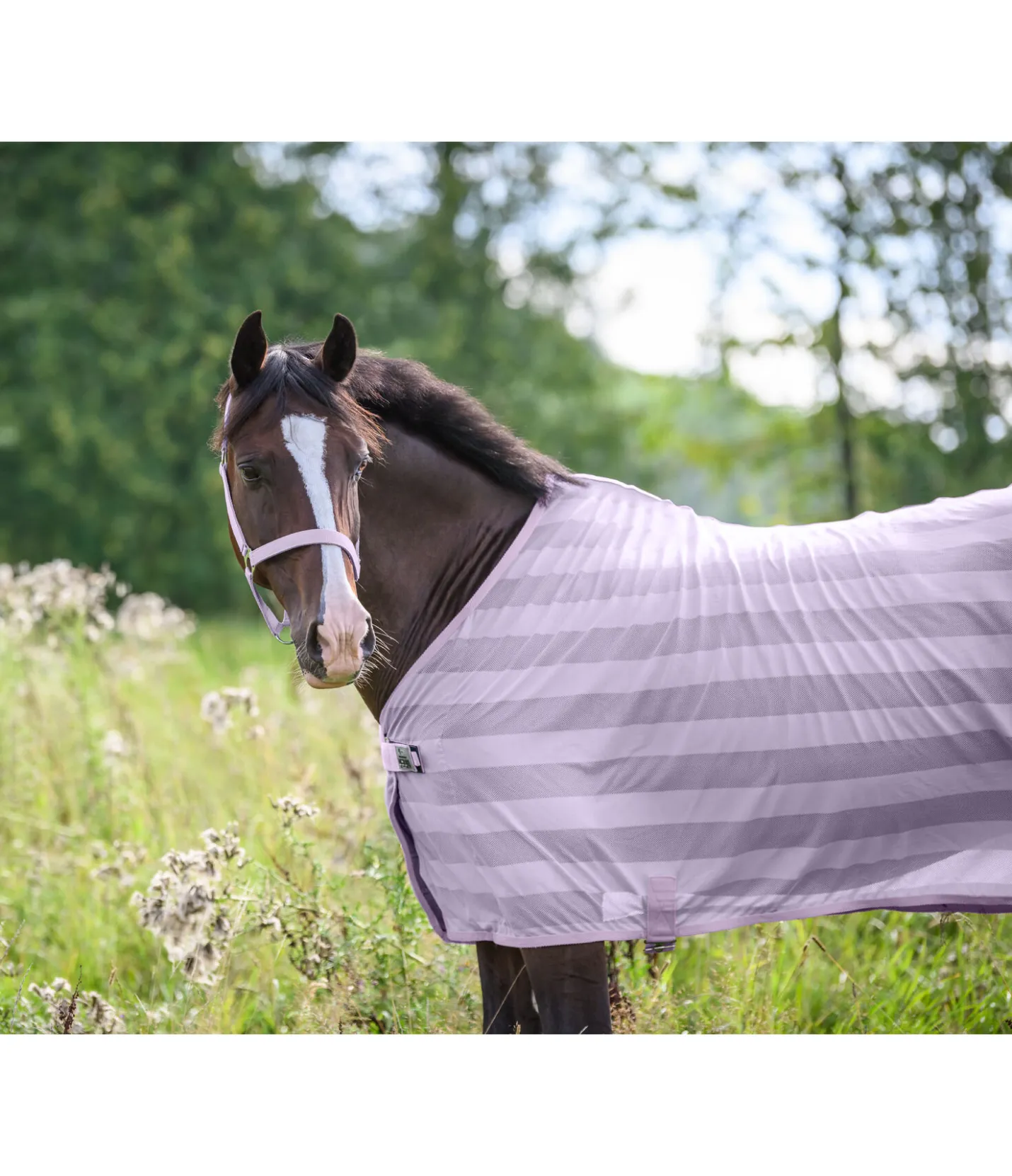 THERMO MASTER Chemise anti-mouches Economy Light violet Best