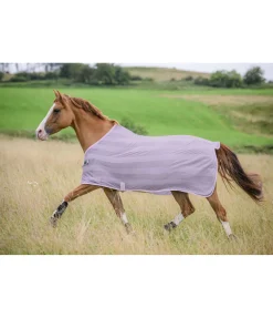 THERMO MASTER Chemise anti-mouches Economy Light violet Best