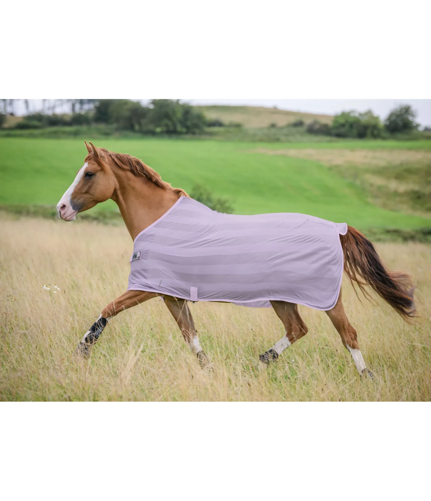 THERMO MASTER Chemise anti-mouches Economy Light violet Best