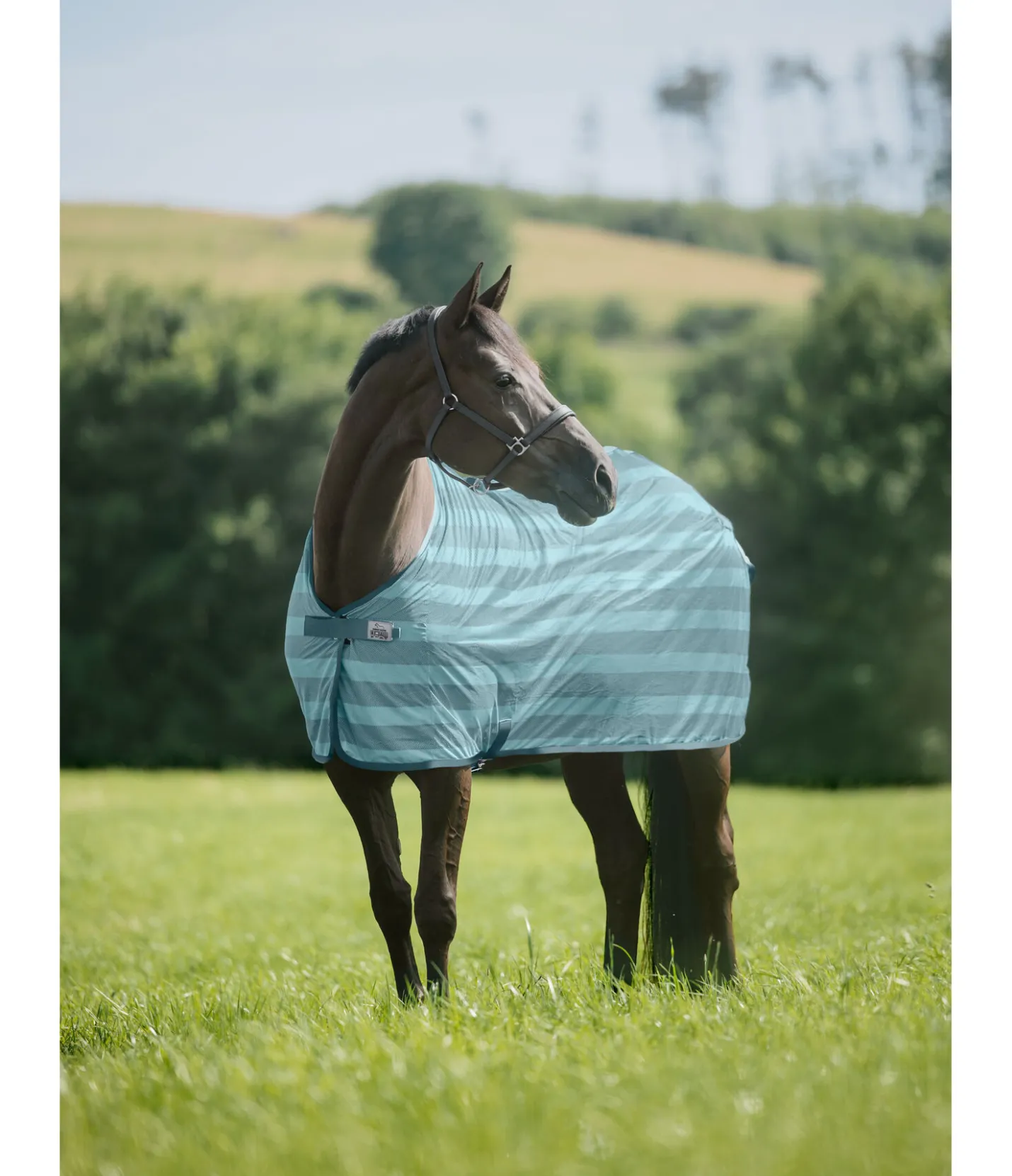 THERMO MASTER Chemise anti-mouches Economy Light bleu atlantique Hot