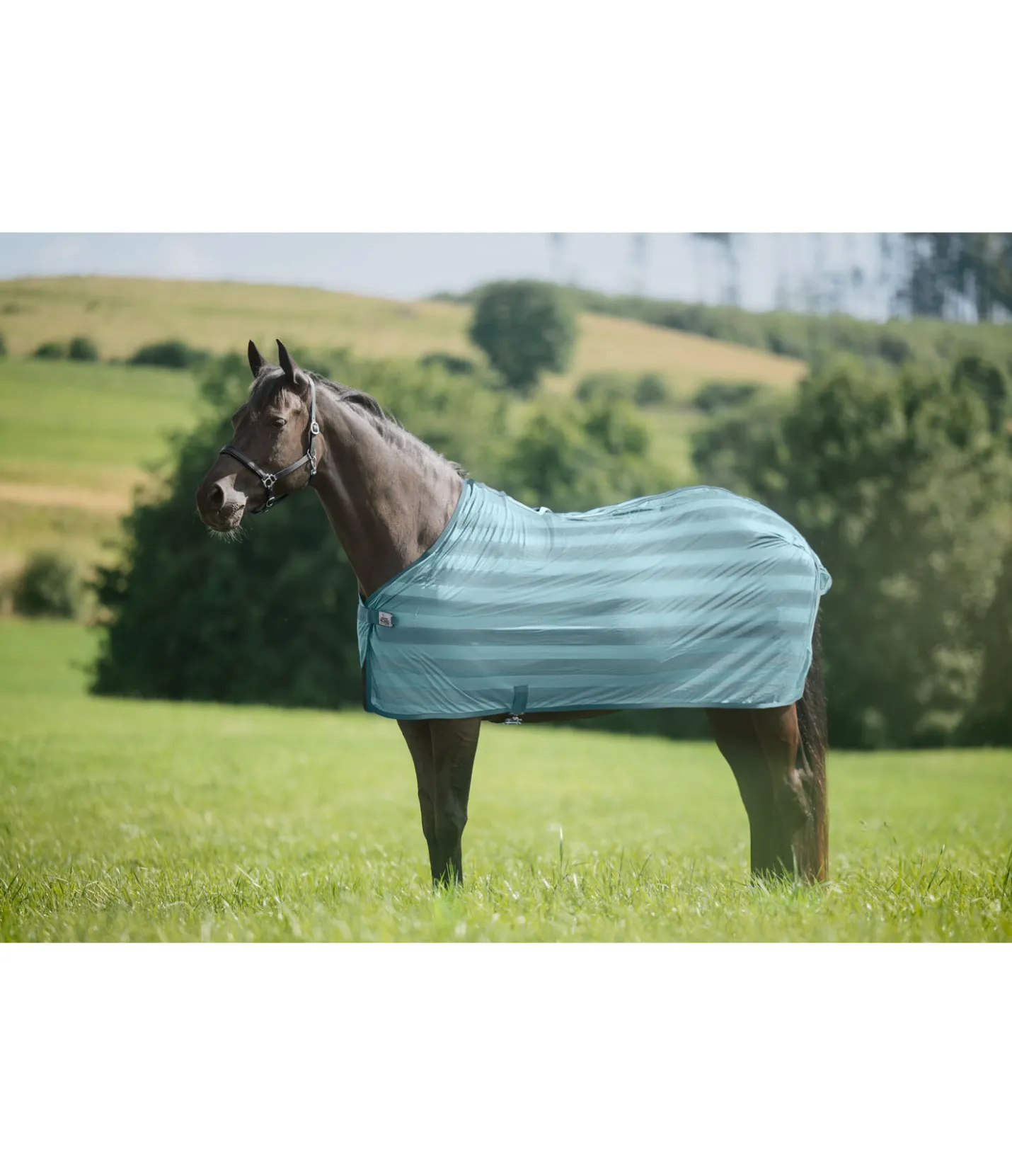 THERMO MASTER Chemise anti-mouches Economy Light bleu atlantique Hot