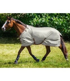 THERMO MASTER Chemise anti-mouches Zoe champagne Best