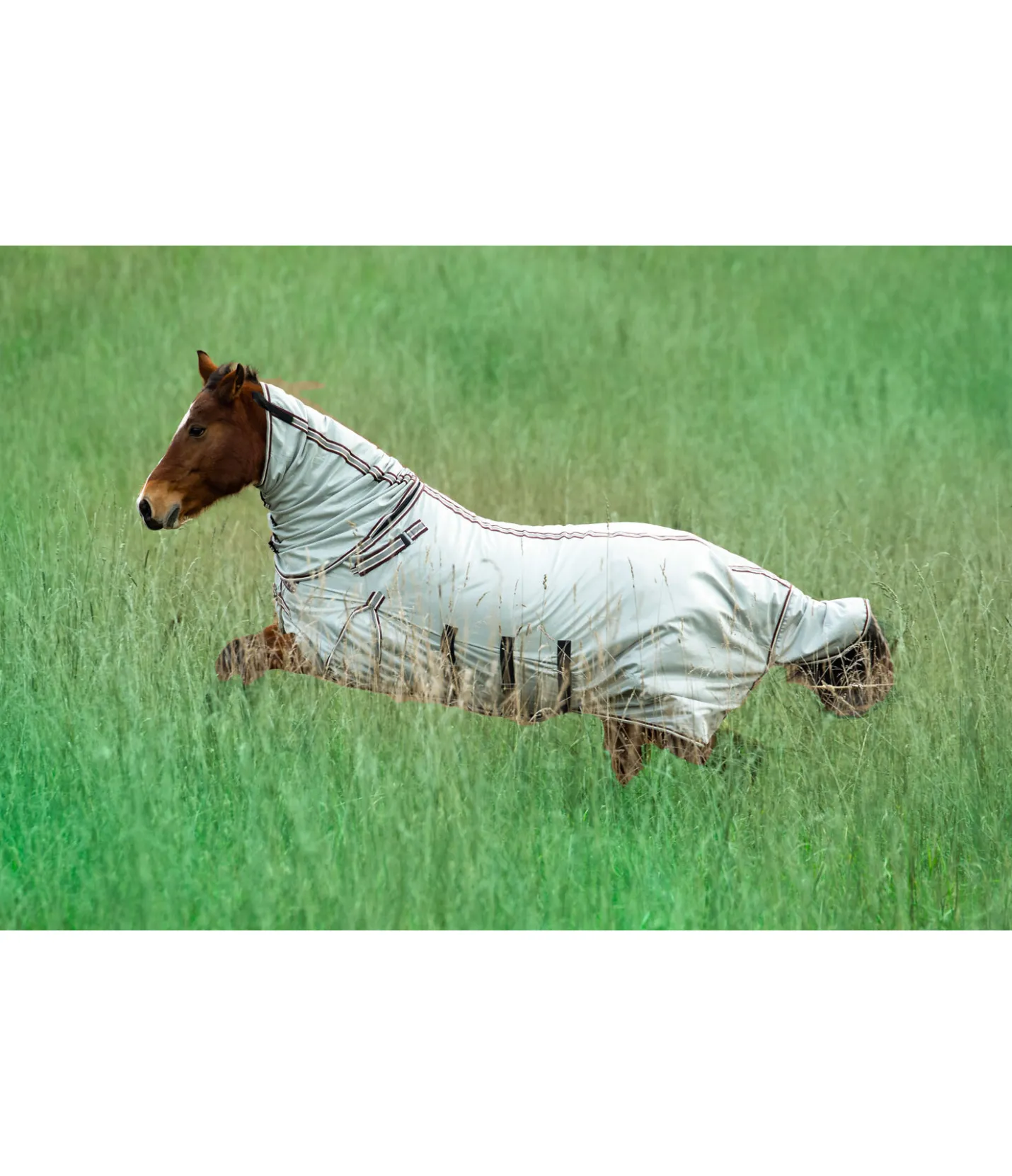 Felix Bühler Chemise anti-mouches avec couvre-cou Karoo acajou Sale