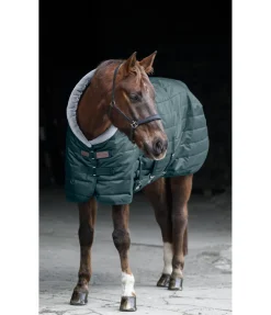 Felix Bühler Chemise d'écurie Stay Cosy thé vert Online
