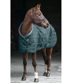 Felix Bühler Chemise d'écurie Stay Cosy thé vert Online
