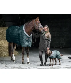 Felix Bühler Chemise d'écurie Stay Cosy thé vert Online