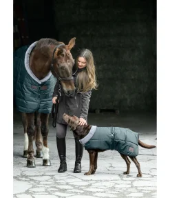 Felix Bühler Chemise d'écurie Stay Cosy thé vert Online