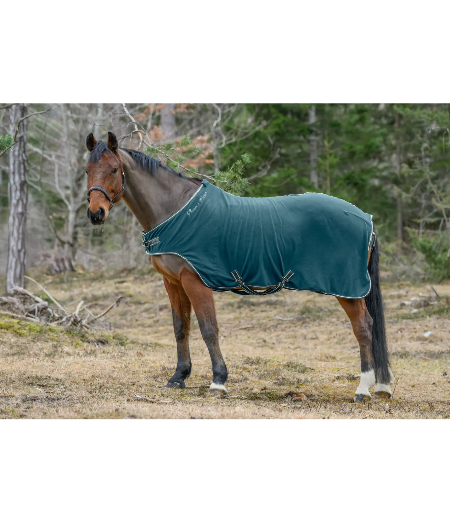 THERMO MASTER Chemise de marcheur en polaire Activity vert tropical Discount