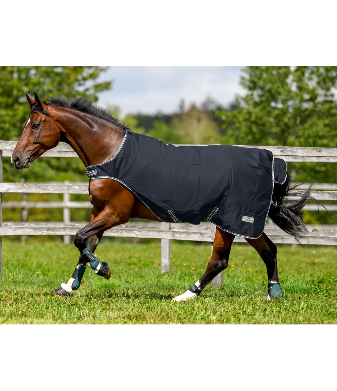 THERMO MASTER Chemise de marcheur imperméable Kasimo II, 0 g navy New
