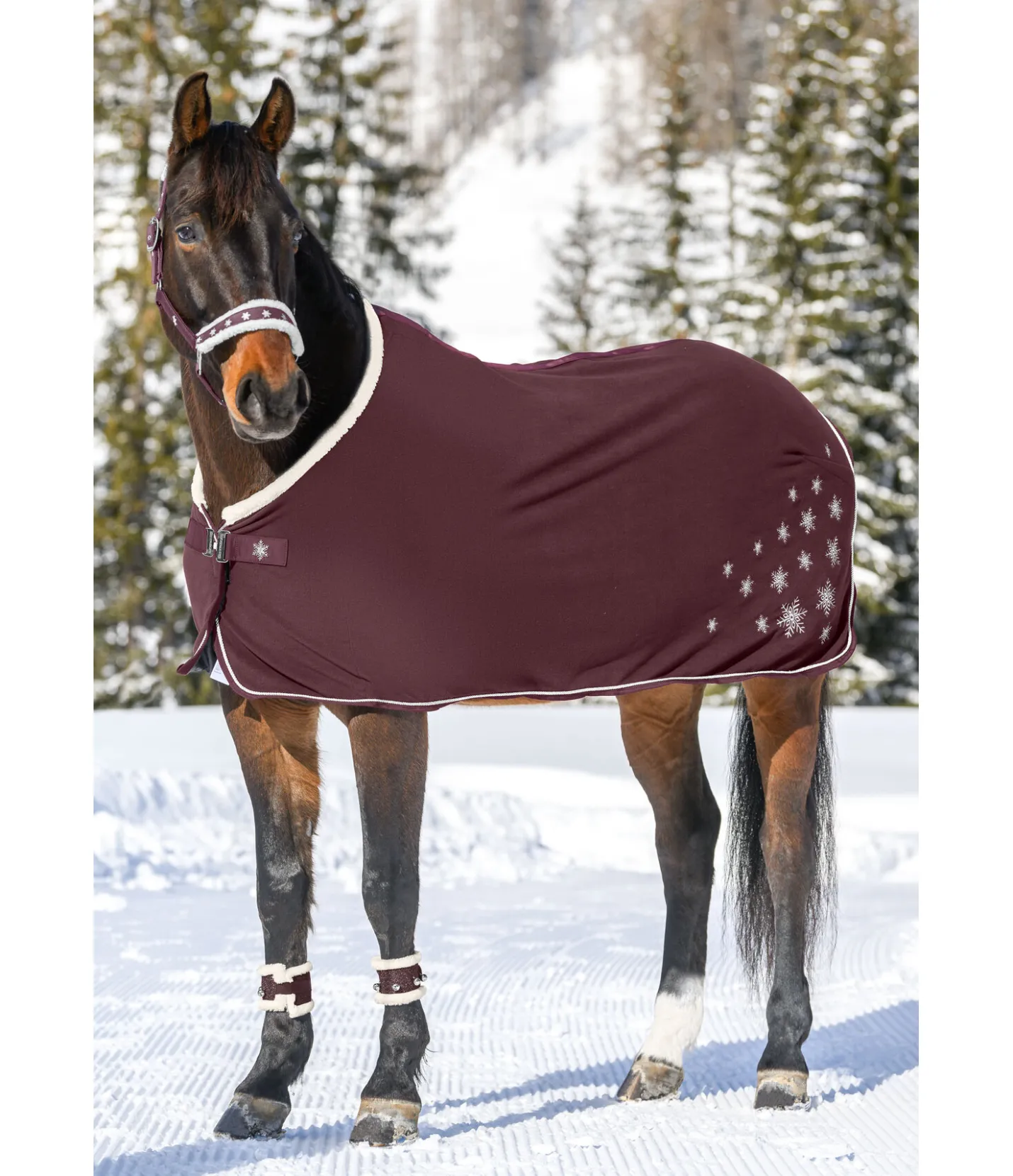 SHOWMASTER Chemise séchante Collection de Noël acajou Discount