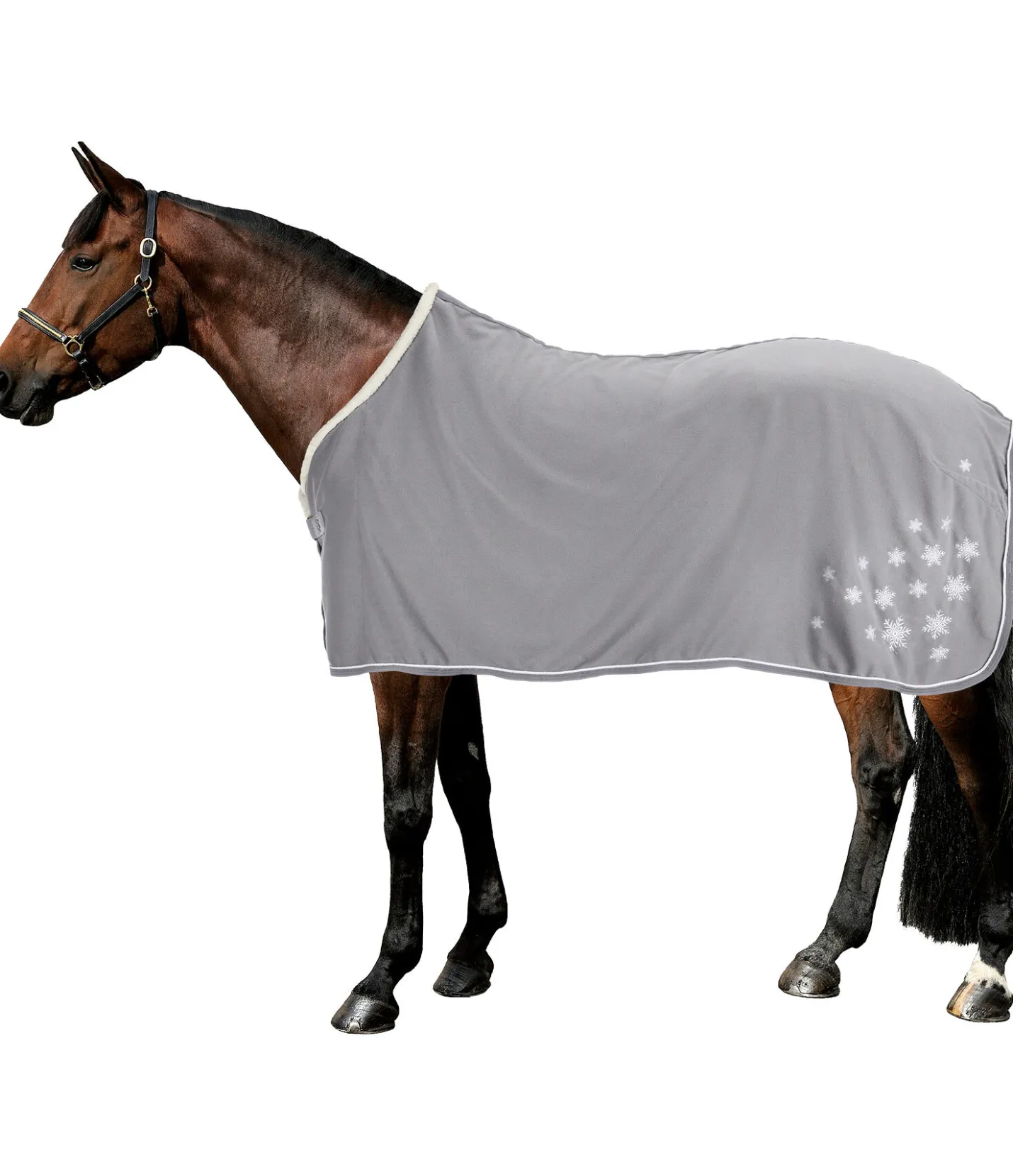 SHOWMASTER Chemise séchante Collection de Noël brume New
