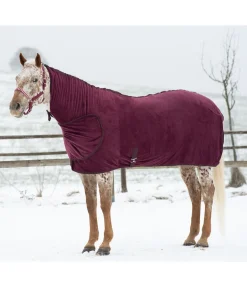 STONEDEEK Chemise séchante Stella cassis