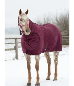 STONEDEEK Chemise séchante Stella cassis
