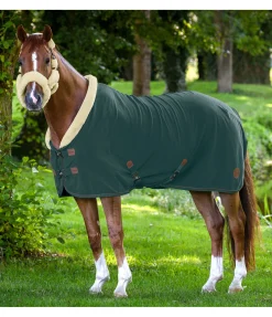 Felix Bühler Chemise séchante avec col en polaire Teddy Timeless Elegance vert d´eau Clearance
