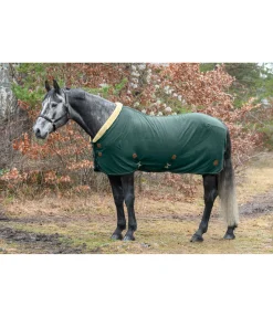 Felix Bühler Chemise séchante avec col en polaire Teddy Timeless Elegance vert d´eau Clearance