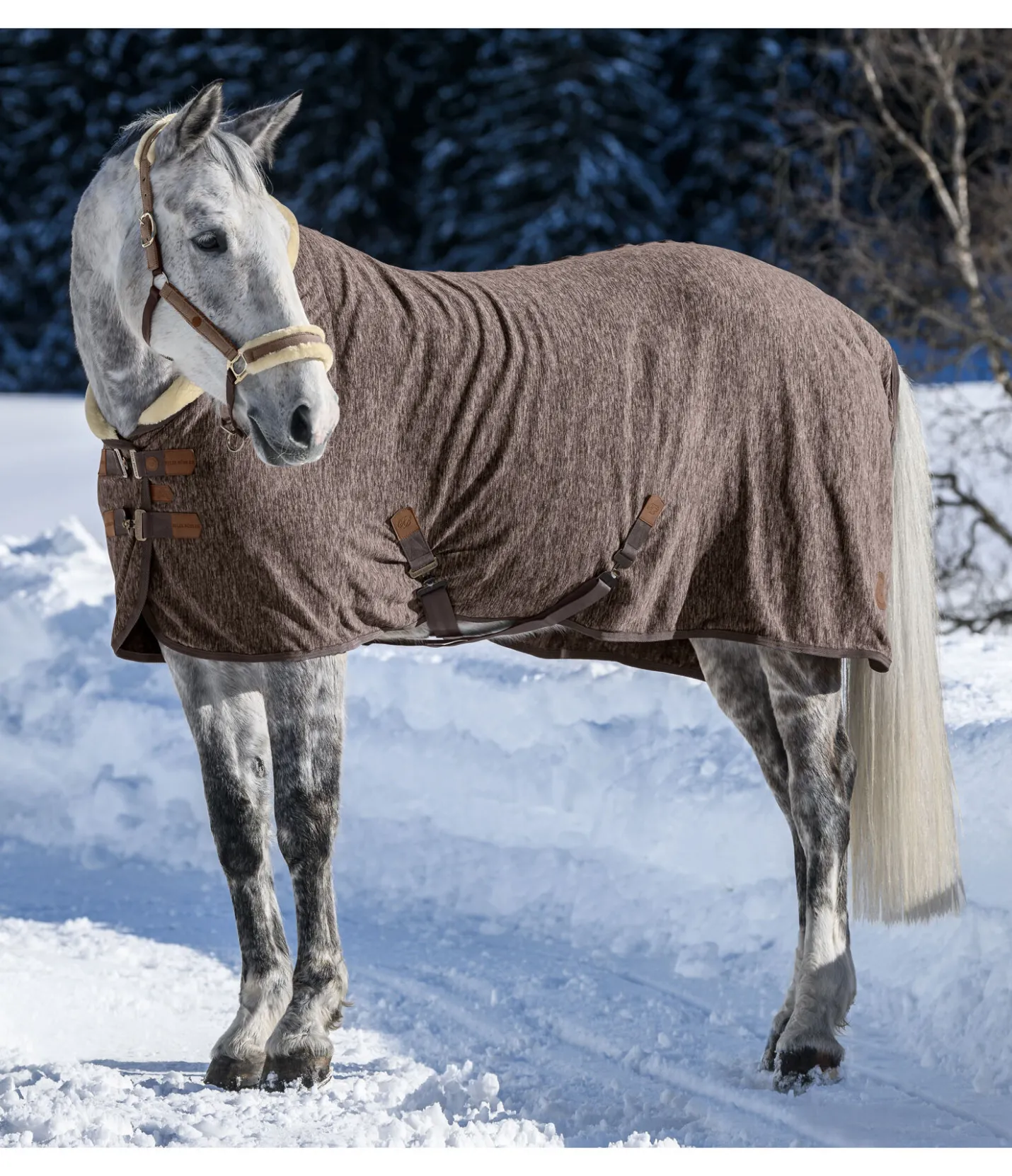 Felix Bühler Chemise séchante polaire Knitted noix Online