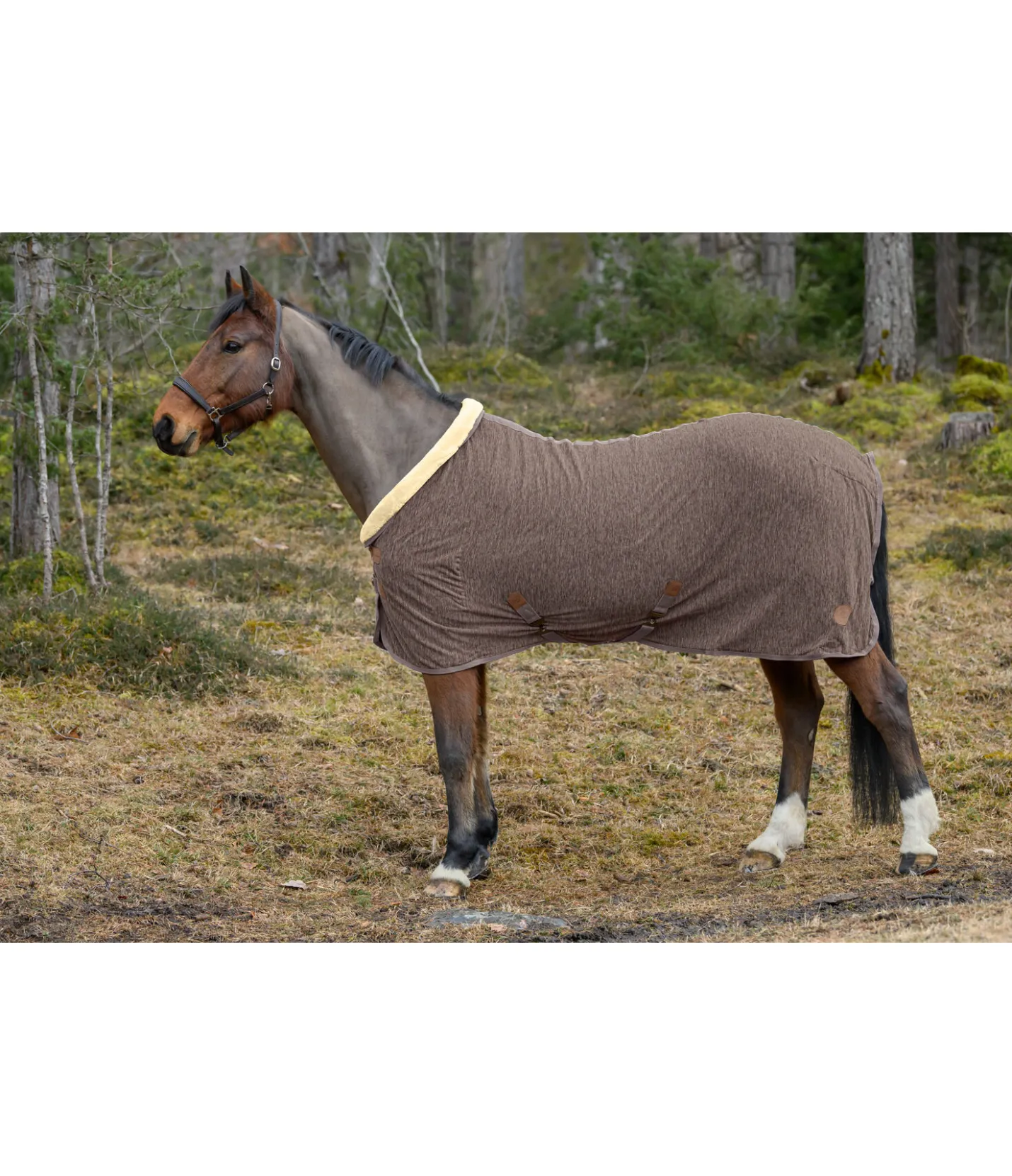 Felix Bühler Chemise séchante polaire Knitted noix Online