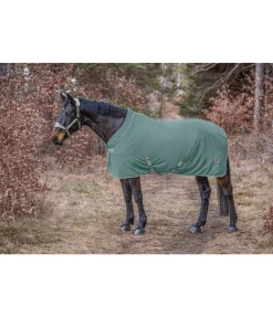 Felix Bühler Chemise séchante polaire Life Cycle origan