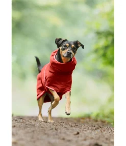 sugar dog Chemise séchante pour chien Dry Dog II gingembre orange Clearance
