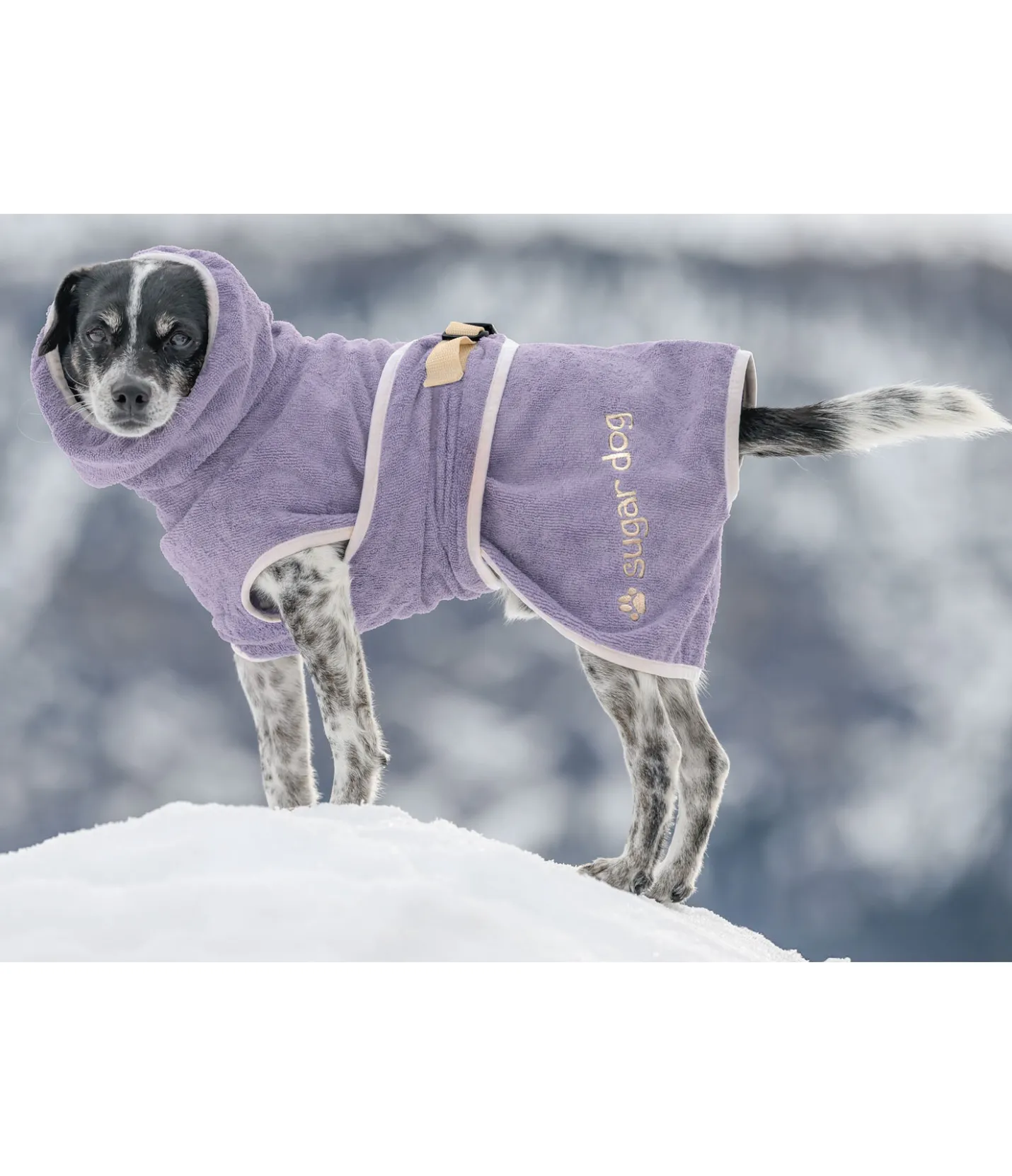 sugar dog Chemise séchante pour chien Dry Dog II myrtille Online