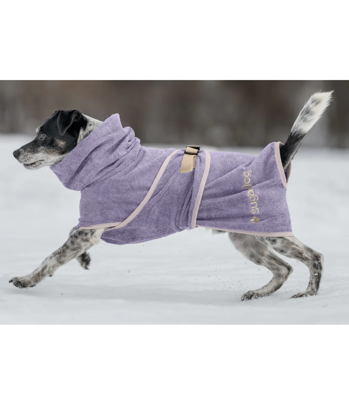 sugar dog Chemise séchante pour chien Dry Dog II myrtille Online