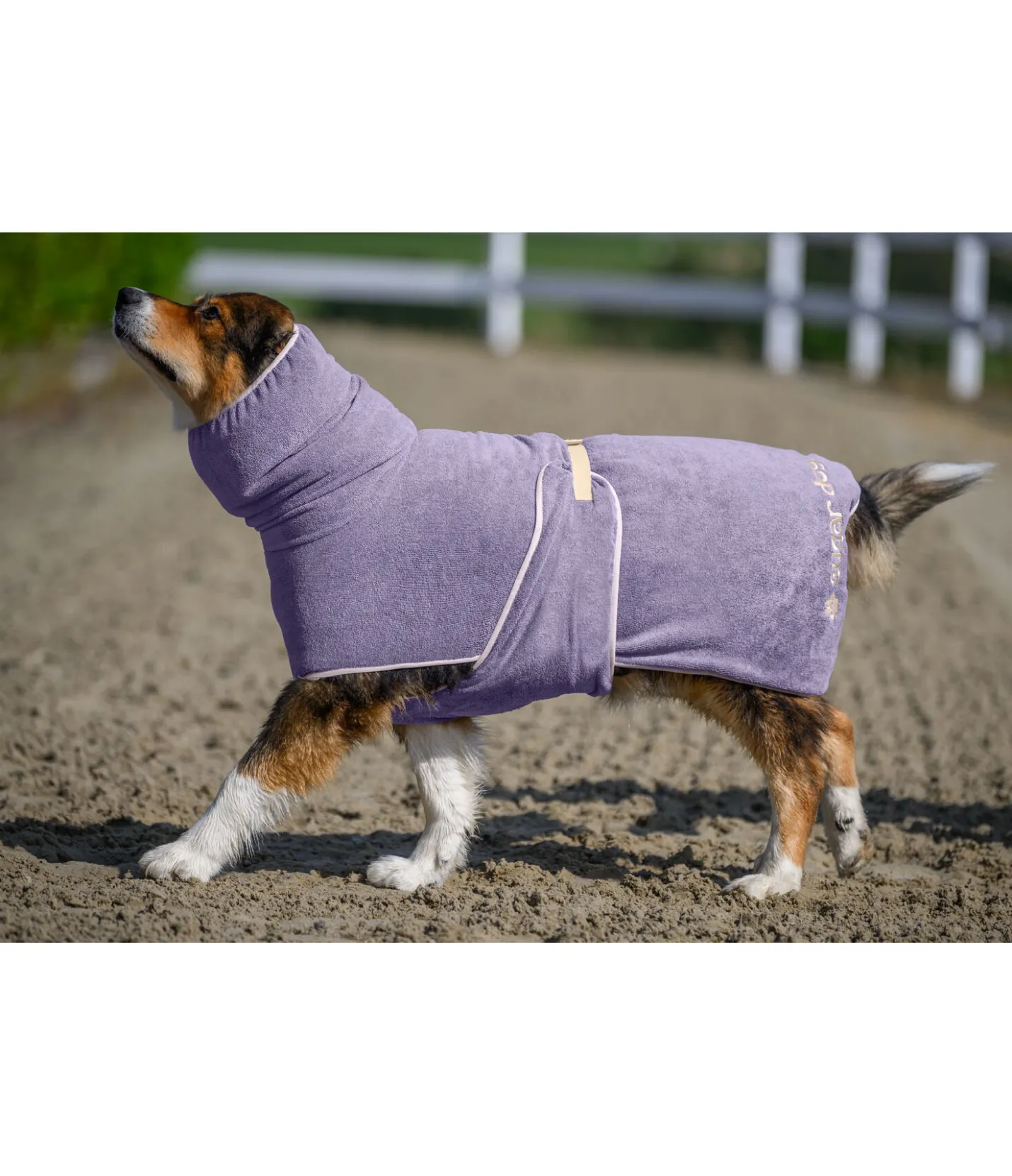 sugar dog Chemise séchante pour chien Dry Dog II myrtille Online