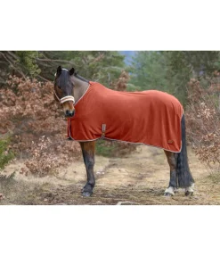 Felix Bühler Chemise séchante technique en polaire Essential Potiron Outlet