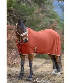 Felix Bühler Chemise séchante technique en polaire Essential Potiron Outlet