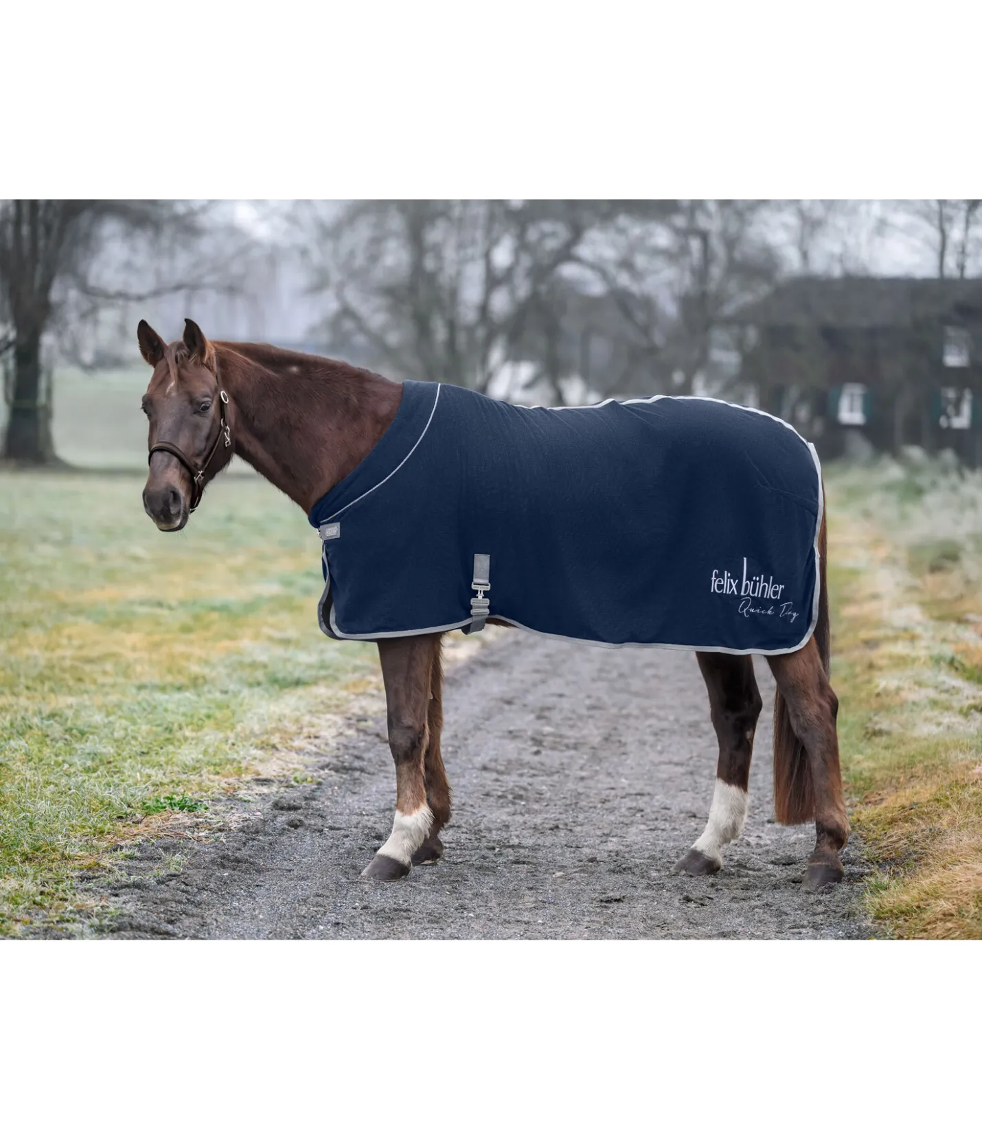 Felix Bühler Chemise séchante technique Quick Dry navy