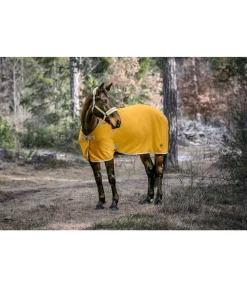 Felix Bühler Chemise séchante technique en polaire Essential mangue dorée Hot