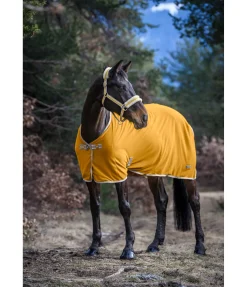 Felix Bühler Chemise séchante technique en polaire Essential mangue dorée Hot