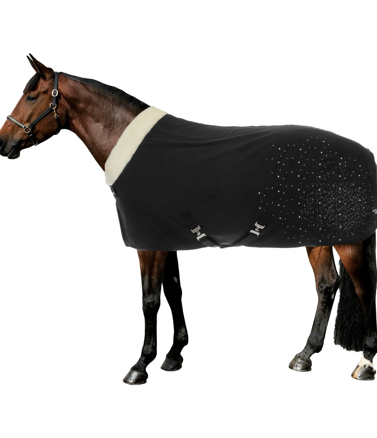 Felix Bühler Chemise séchante technique Sparkling II noir Hot