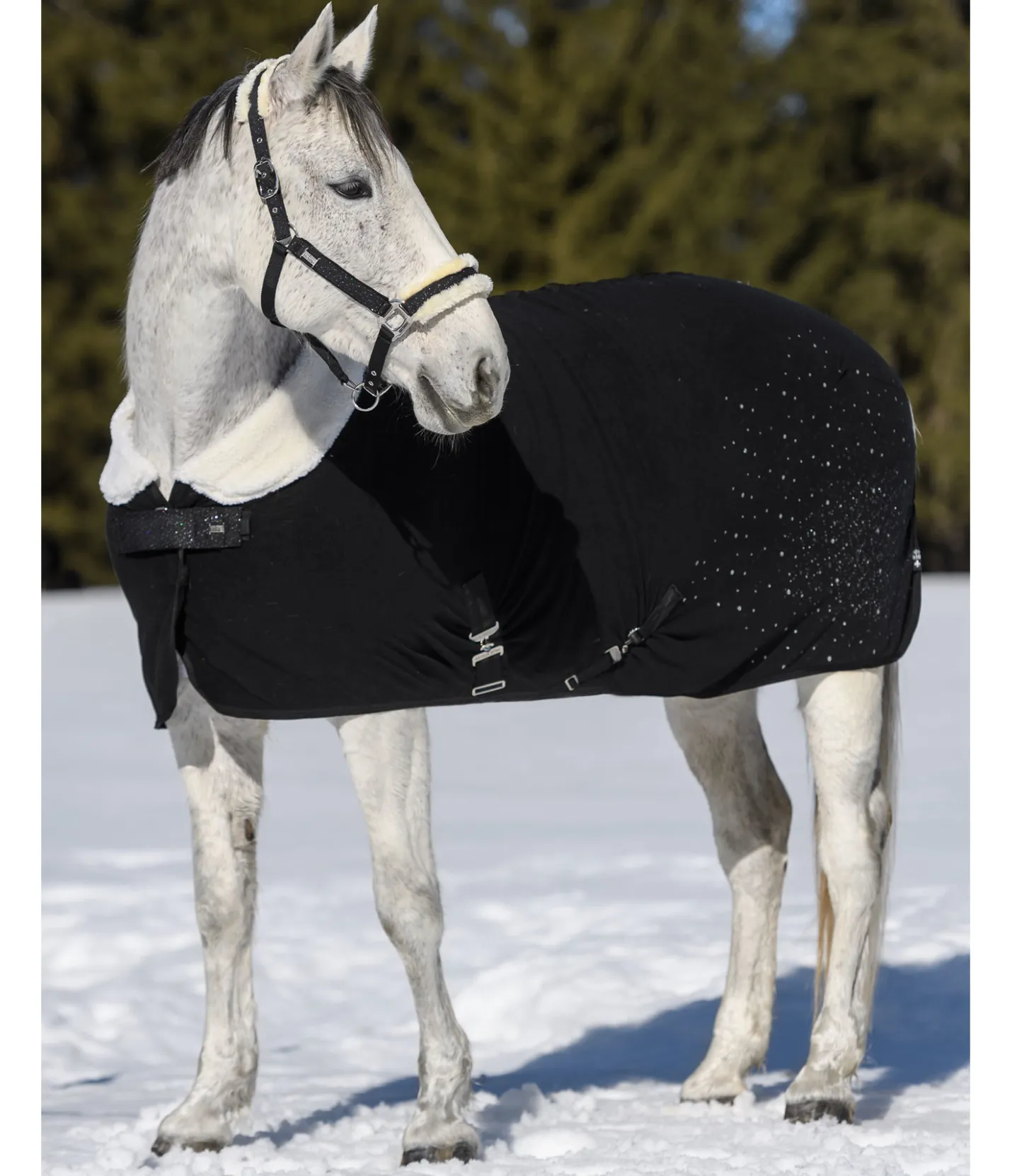 Felix Bühler Chemise séchante technique Sparkling II noir Hot