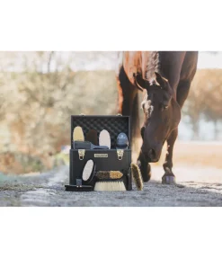 SHOWMASTER Coffre de pansage Alu Case Classic Line noir Best