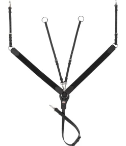 CLARIDGE HOUSE Collier de chasse en cuir gras Elastic Professional noir Online