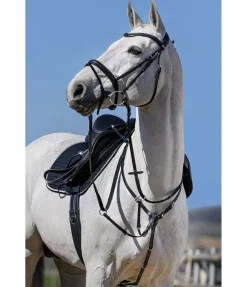 CLARIDGE HOUSE Collier de chasse élastique Parcours noir Sale