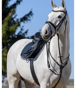 CLARIDGE HOUSE Collier de chasse élastique Parcours noir Sale