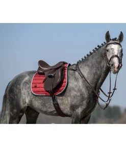 CLARIDGE HOUSE Collier de chasse élastique Parcours marron foncé Online