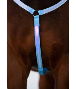 STEEDS Collier de chasse LED Loom bleu Hot