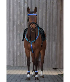 STEEDS Collier de chasse LED Loom bleu Hot